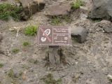 Day 3 - Admonitions - These signs were everywhere Day 3 - Admonitions - These signs were everywhere